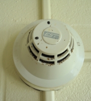 smoke-detector-bed-bugs