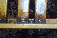 bed-bugs-on-bed-frame