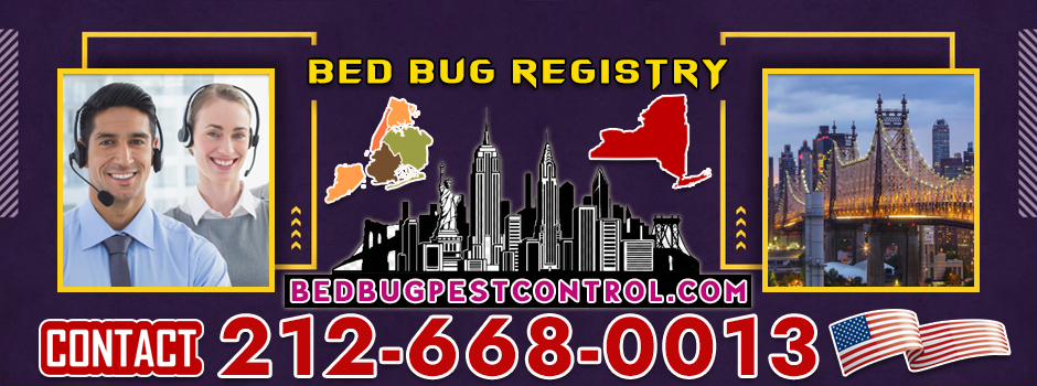 Bed Bug Registry Com