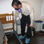 bed bug removal and free inspection