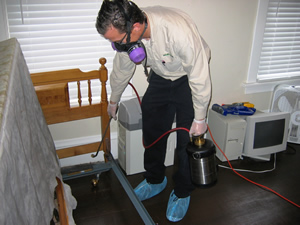 bed bug removal and free inspection