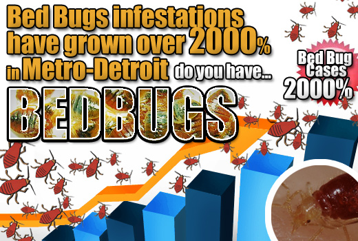 Bed Bugs in Metro Detroit and Michigan on a Huge Rise