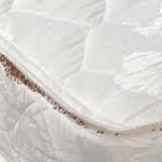 mattress-infested-with-bedbugs