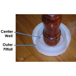 Climbup Insect Interceptor Bed Bug Trap, 12ct