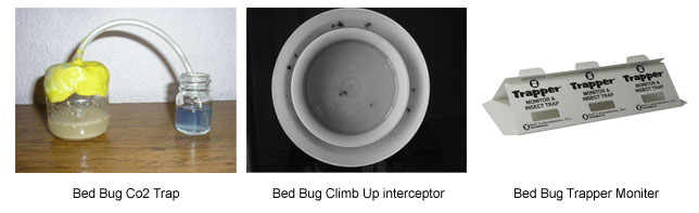 Bed Bug Detecting Product