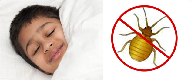 Bedbug Detection 