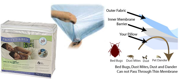 bed bug mattress