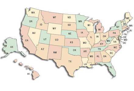 Bed Bug - United States of America