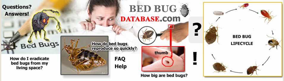 Bed bug Database